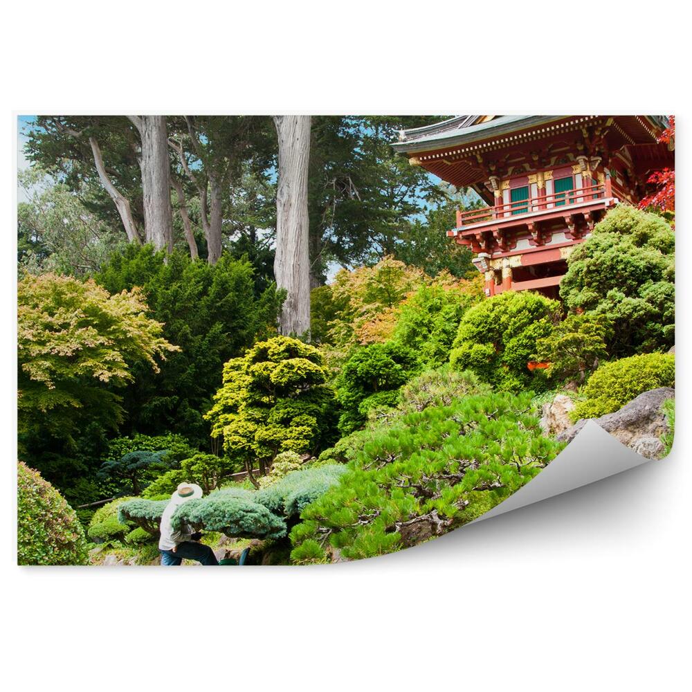 Papier peint panoramique Jardin de thé japonais végétation asie