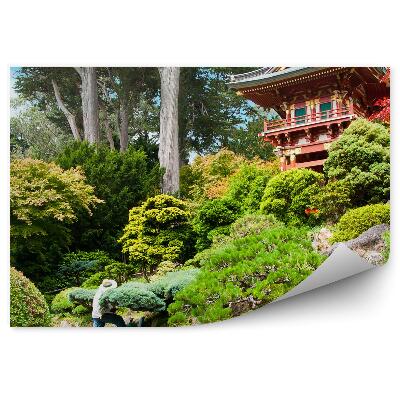 Papier peint panoramique Jardin de thé japonais végétation asie
