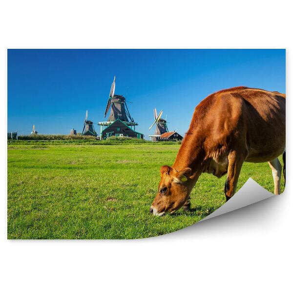 Papier peint Vache hollandaise dans le pré Moulin à vent vert