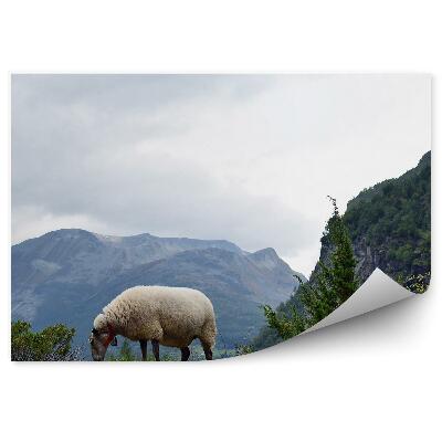 Papier peint Moutons norvégiens en train de brouter montagnes nature