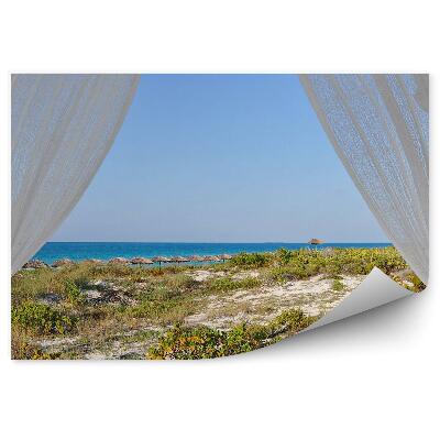 Papier peint Rideaux De Fenêtre Palmiers De Mer Plantes