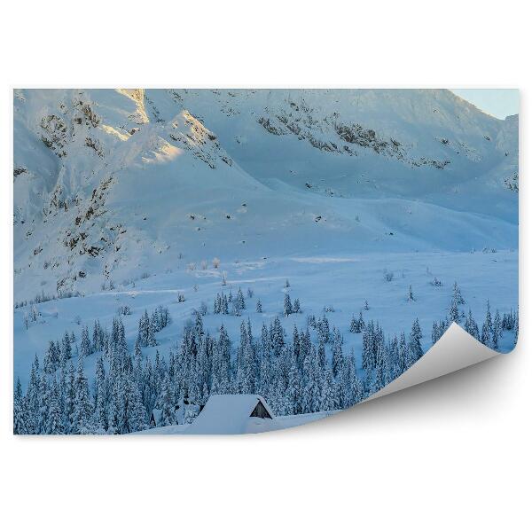 Papier peint Hala Gąsienicowa Huts Tatry Winter Snow Coniferous Trees