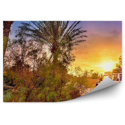 Papier peint Jeep Palmiers Route Coucher De Soleil