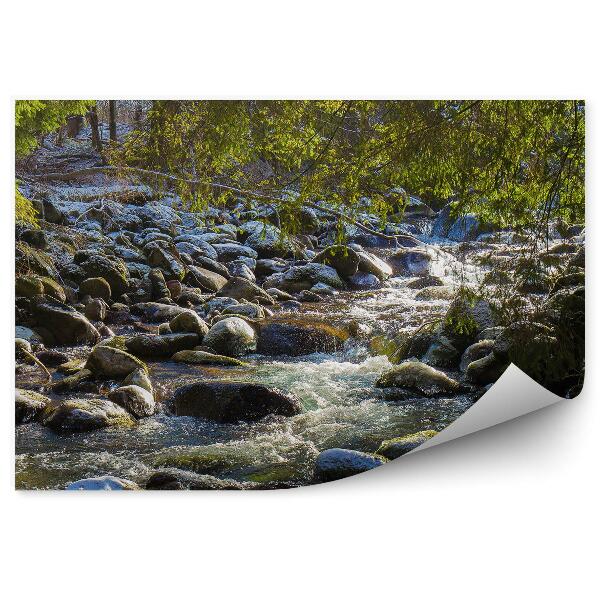 Papier peint Rivière Bystra Arbres Pierres Enterrées Parc National De Tatra