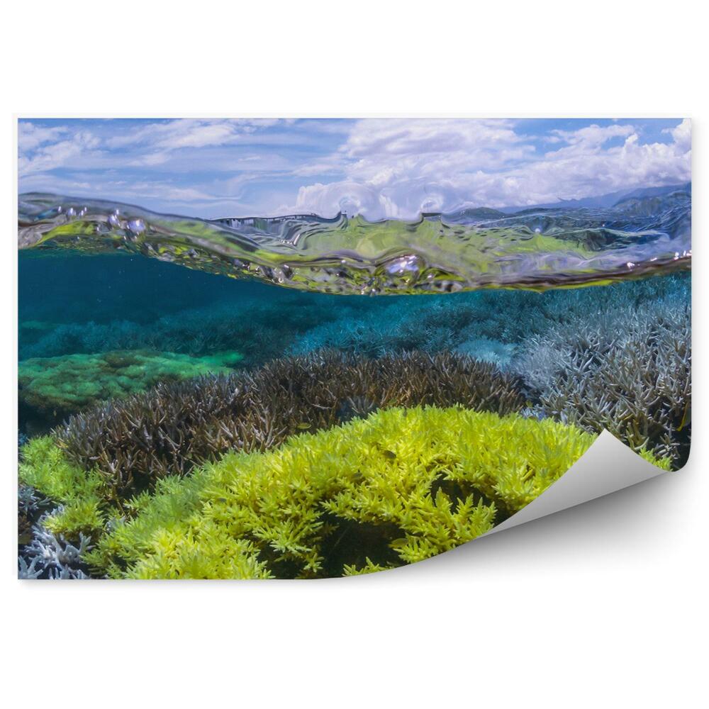 Papier peint Eau de récif corallien fluorescente