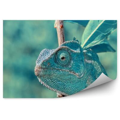 Papier peint Caméléon Turquoise