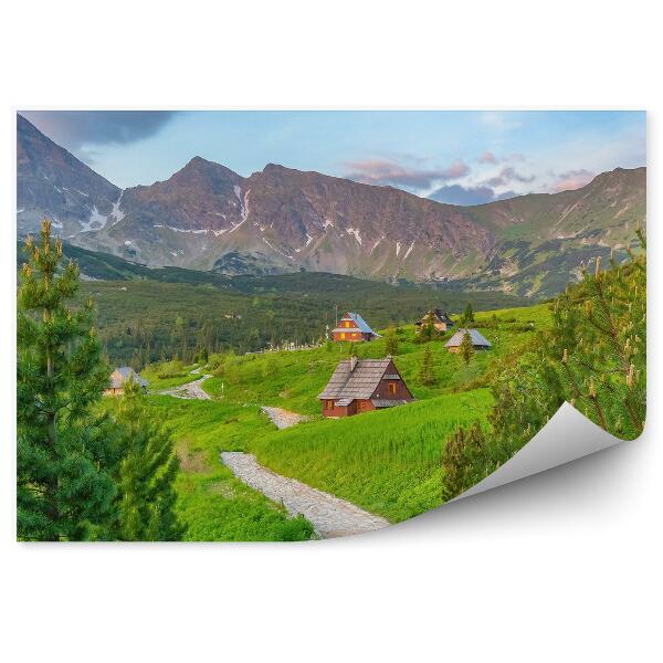 Papier peint Montagnes Ciel Nuages Zakopane Maisons Arbres Chemins Conifères