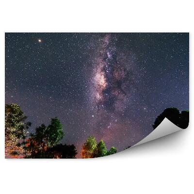 Papier peint Voie Lactée Étoiles Espace Poussière Arbres Lumières Colorées Nuit