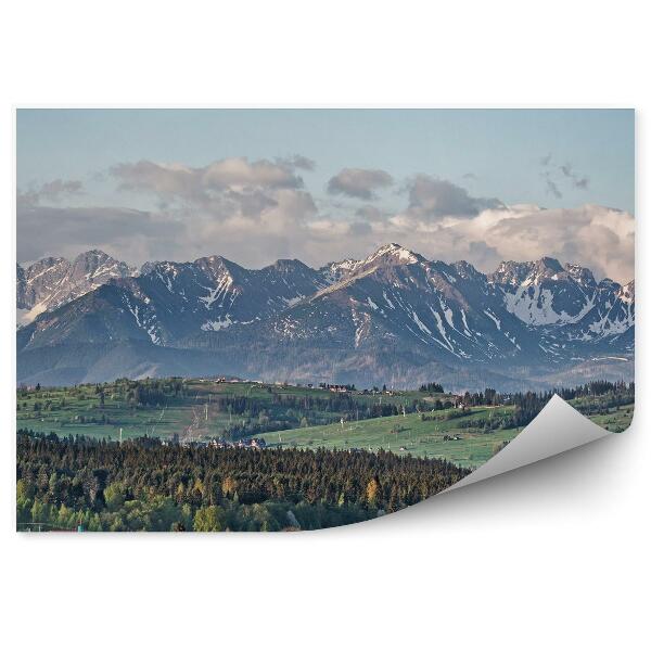 Papier peint Montagnes Conifères Neige Cabanes Ciel Nuages Tatry