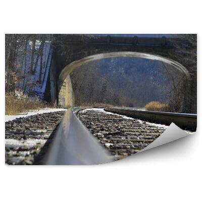 Papier peint Voie ferrée pont nature forêt voie ferrée