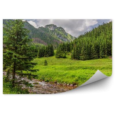 Papier peint Ruisseau Vallées vertes Montagnes Tatra