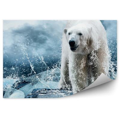 Papier peint Ours Polaire Sur La Glace Parmi Les Gouttelettes D'eau