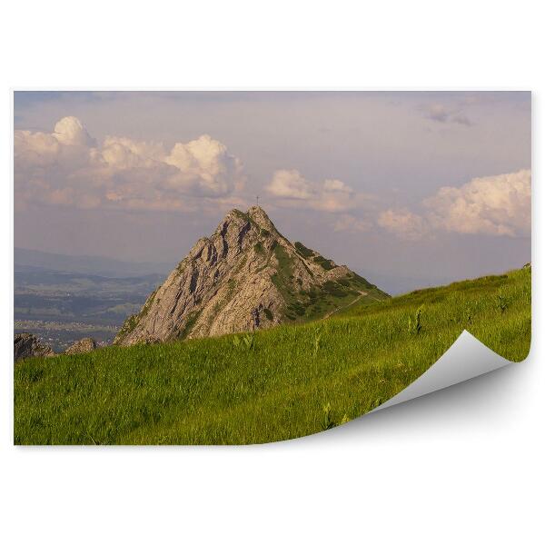 Papier peint Giewont Grass Sky Clouds Tatry Houses View