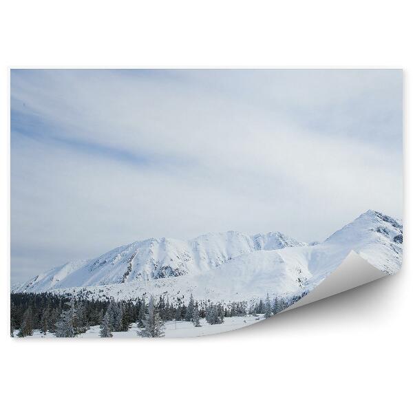 Papier peint Montagnes Zakopane Neige Hiver Ciel Nuages Arbres Conifères Tatras