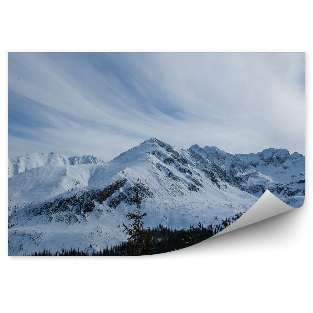 Papier peint Zakopane Montagnes Neige Hiver Ciel Nuages Arbres Conifères Montagnes Tatras