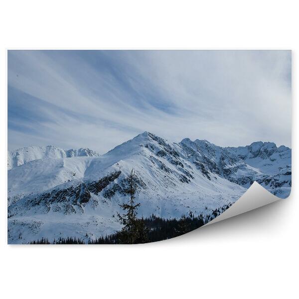 Papier peint Zakopane Montagnes Neige Hiver Ciel Nuages Arbres Conifères Montagnes Tatras