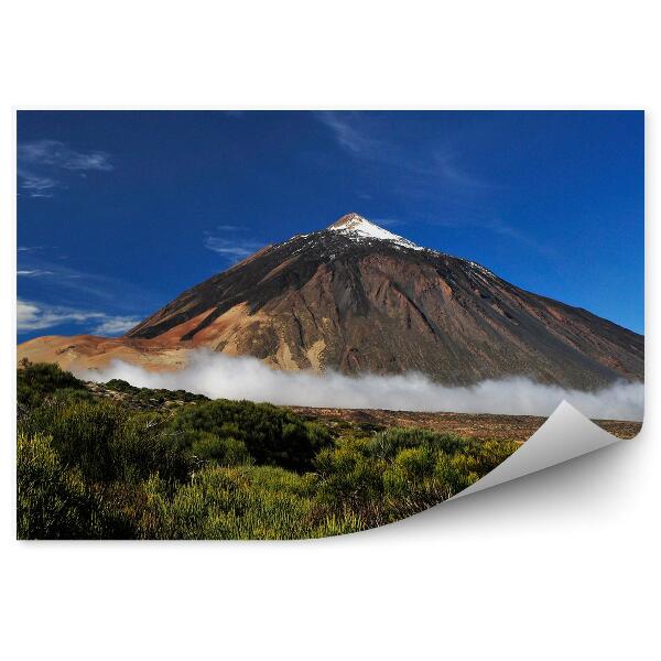 Papier peint Volcan Teide Arbres Brume Ciel Nuages