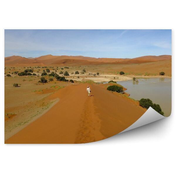 Papier peint homme touriste oasis désert sable afrique