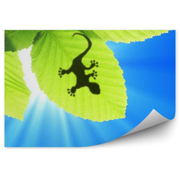 Papier peint Gecko sur des feuilles vertes Perspective du ciel