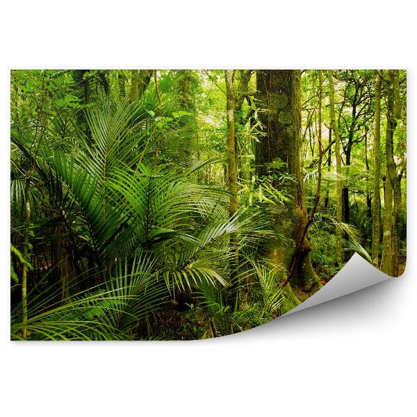 Papier peint Forêt tropicale profonde Arbustes Feuilles Vertes