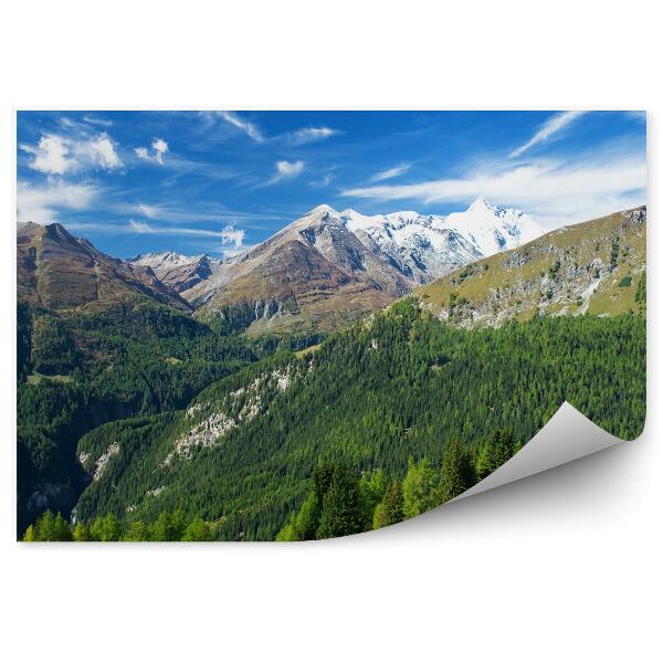 Papier peint Vue Magnifique Montagnes Alpes Autrichiennes Coniferes Neige Ciel Nuages