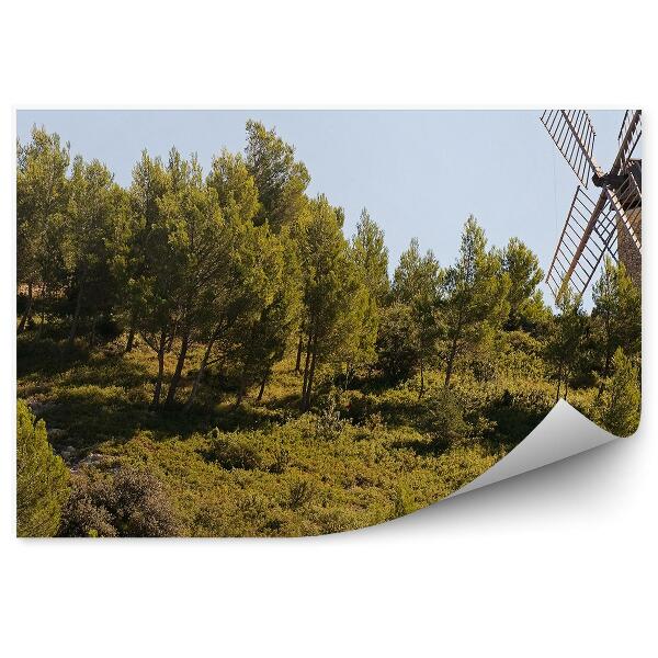 Papier peint Moulin à vent arbres forêt ciel Provence France