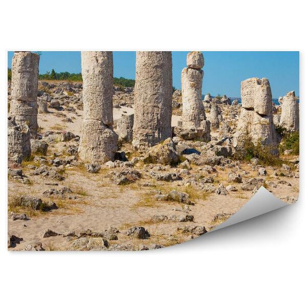 Papier peint Colonnes De Rochers Sable Herbe Plantes Ciel