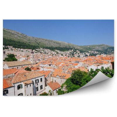 Papier peint Nature maisons vertes architecture