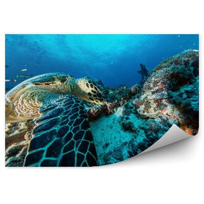 Tapisserie panoramique Tortue de mer