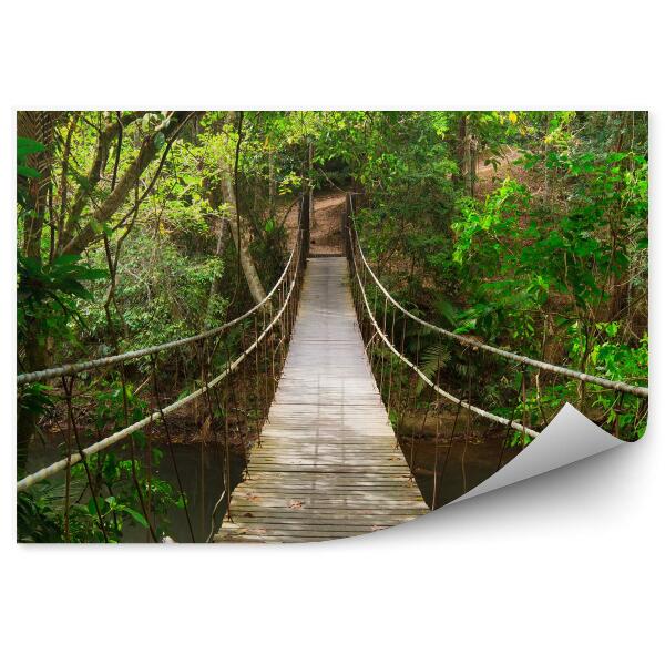 Papier peint Pont vers le parc national de la jungle en thailande