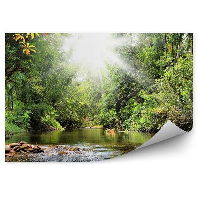 Papier peint arbres verts ruisseau plantes