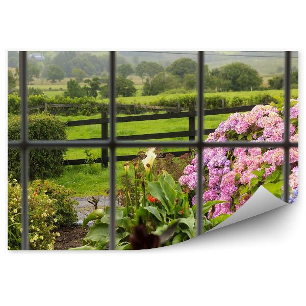 Papier peint Fleurs hortensias jardin près de la maison