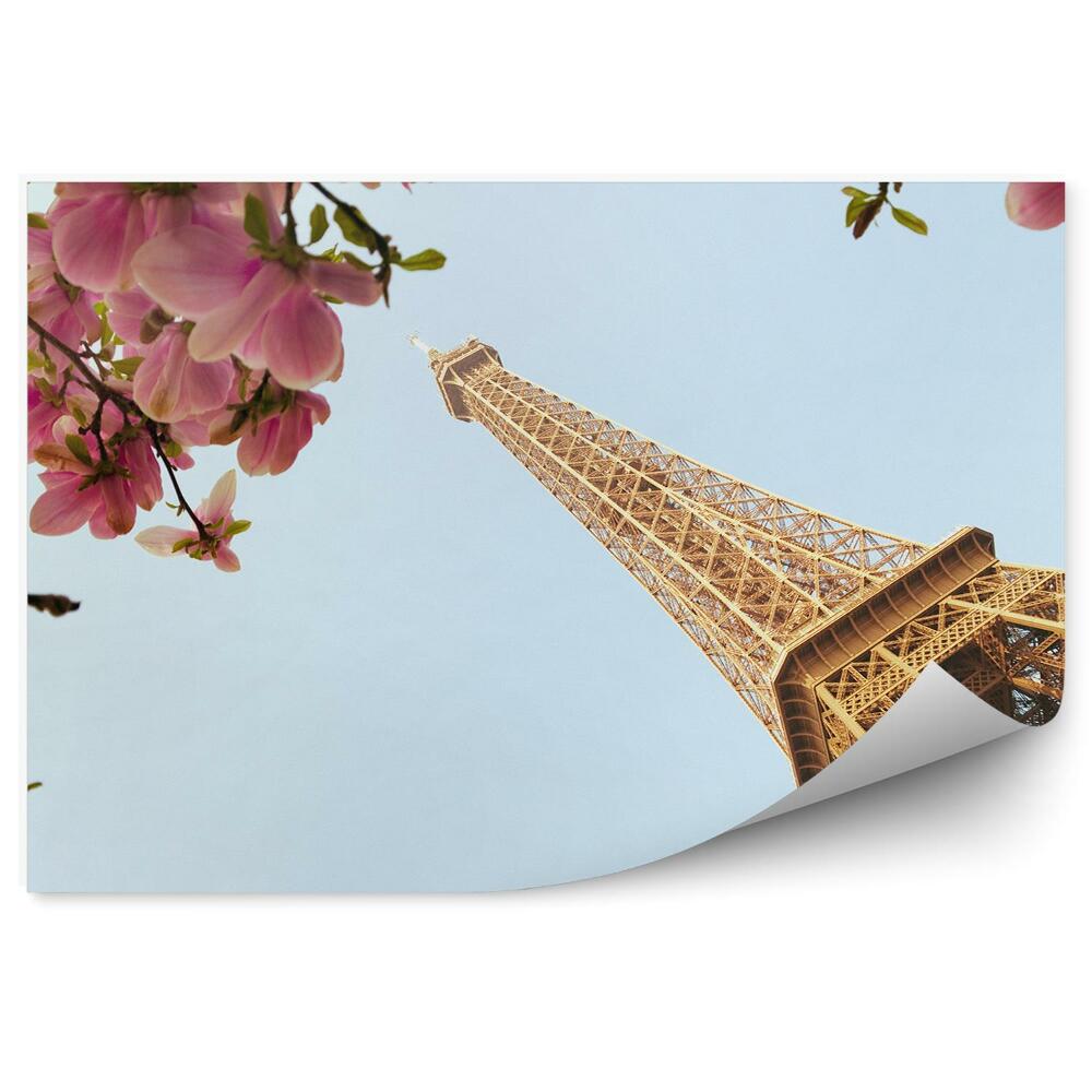 Papier peint Arbre en fleur magnolia Paris tour eiffel