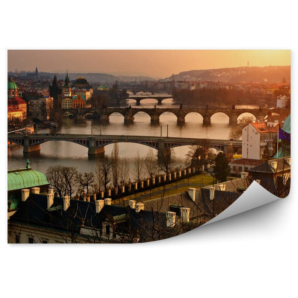 Papier peint Pont Charles Prague Ville Panorama Arbres Bâtiments