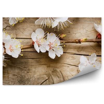 Papier peint Fleur de pommier couchée sur bois