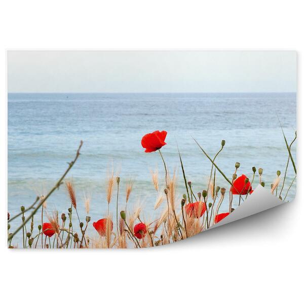 Papier peint Fleurs de coquelicots ciel marin