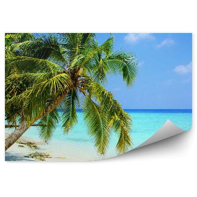 Papier peint Maldives palmiers nature eau bleue ciel