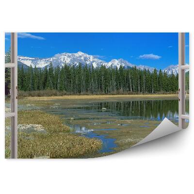 Papier peint Arbre de Noël forêt fenêtre ouverte vue montagne