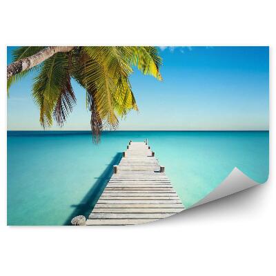 Papier peint Plage de noix de coco