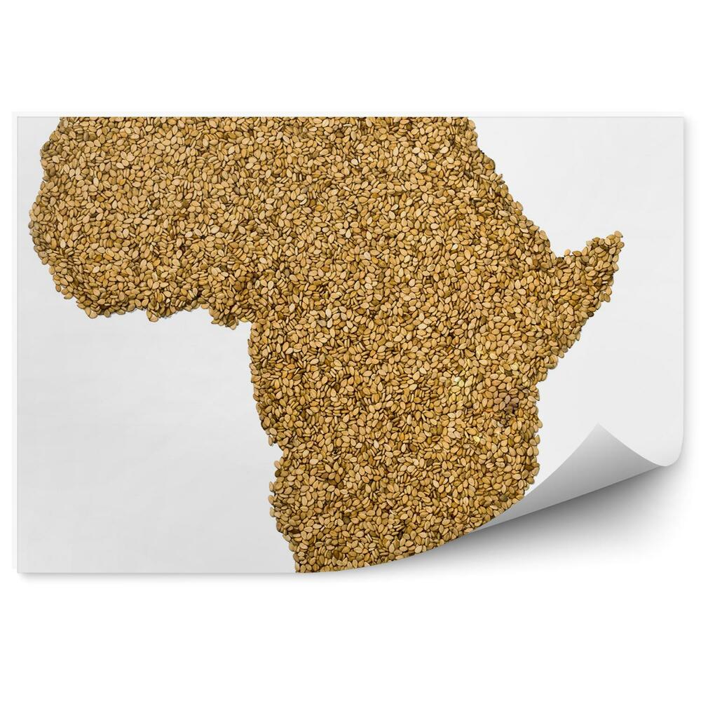 Papier peint Contour de la carte de l'Afrique