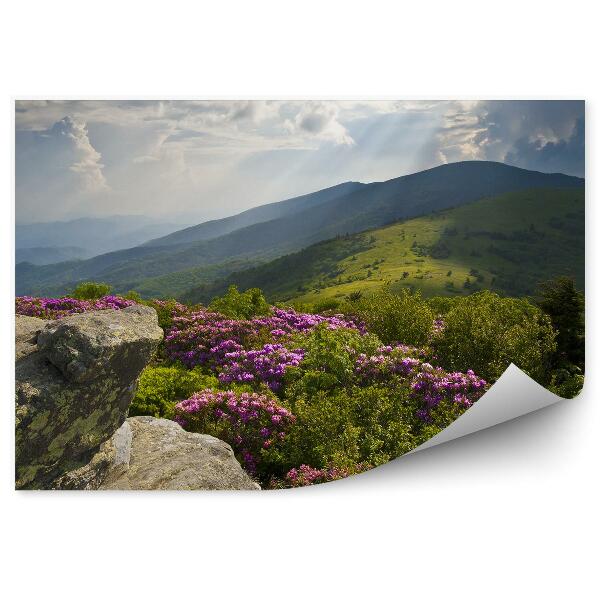 Papier peint Fleurs d'azalée violettes rocher montagne ciel nuage buisson