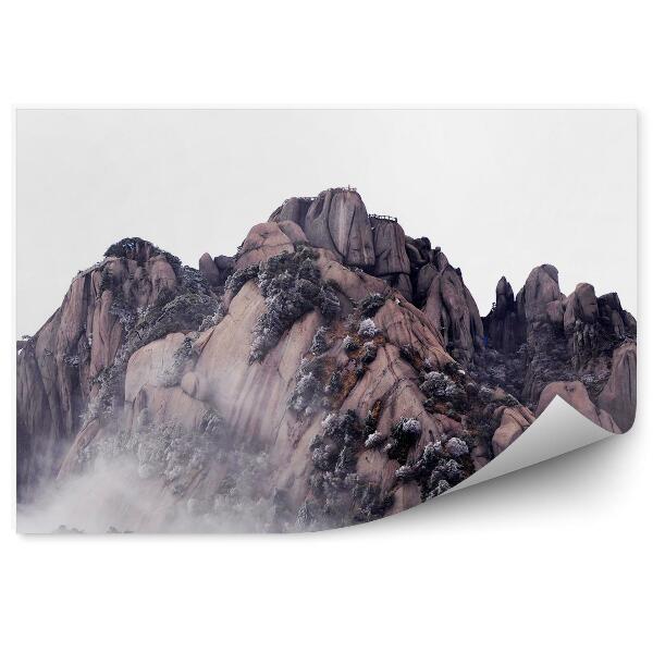 Papier peint Montagnes Rocheuses Plantes Brume