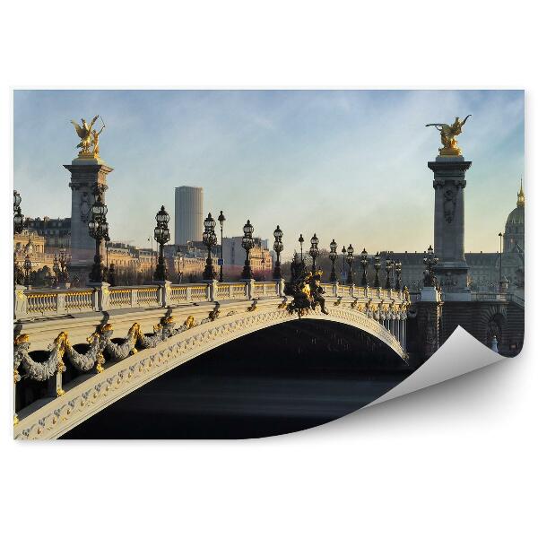 Papier peint Pont Alexandre Iii Paris Ciel Seine