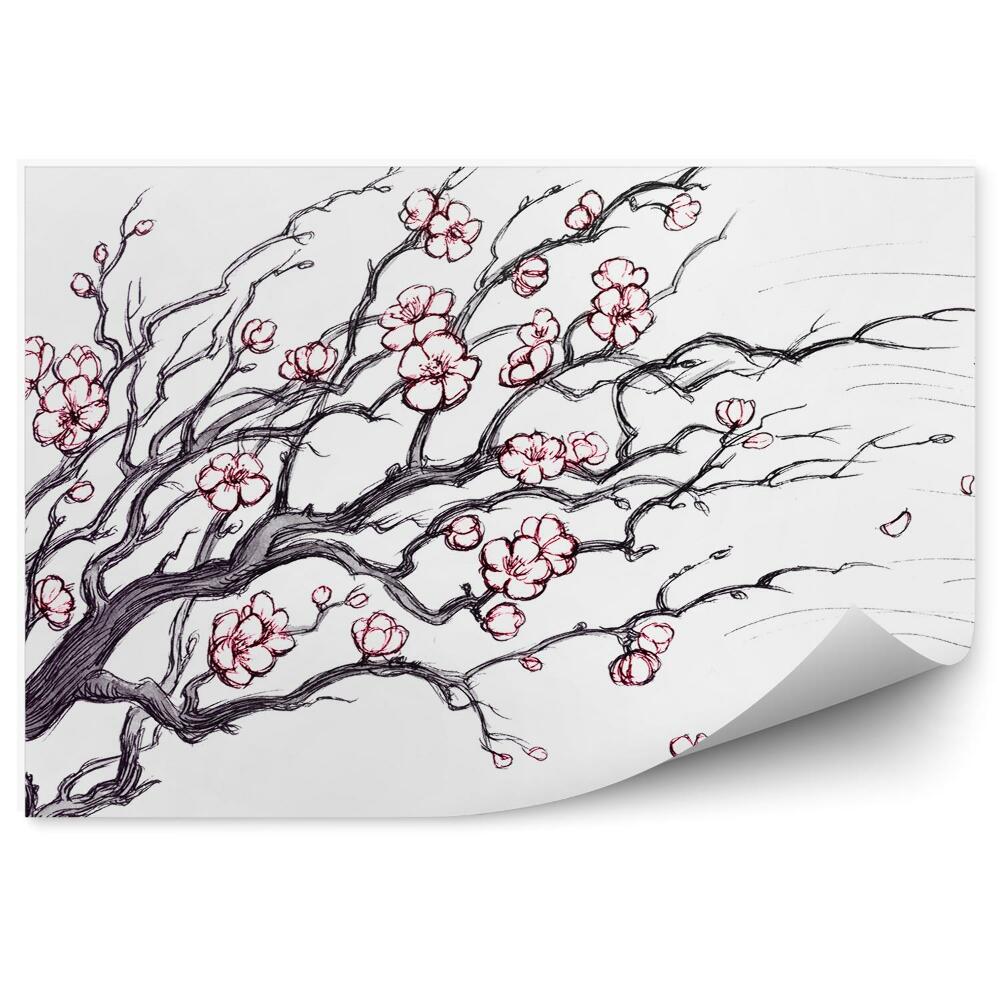 Papier peint Fleurs de cerisier image