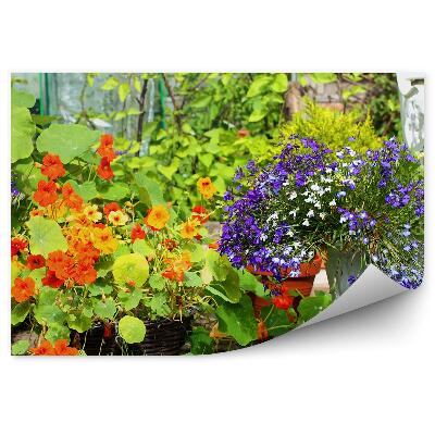 Papier peint Fleurs d'été colorées