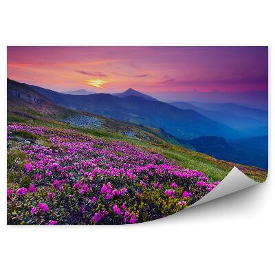 Papier peint panoramique Paysage de montagne