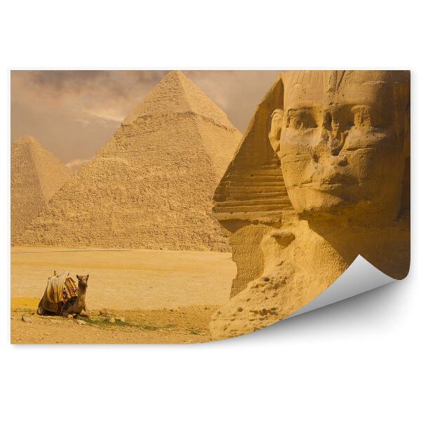 Papier peint Chameau se reposant près du grand sphinx