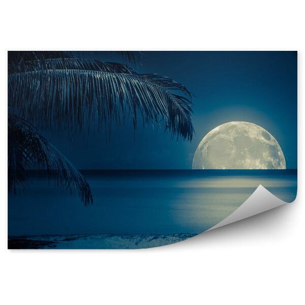 Papier peint Nuit et lune sur une plage tropicale