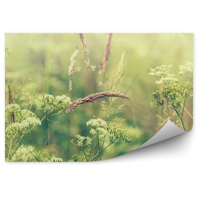 Tapisserie murale Prairie d'herbe fleurie