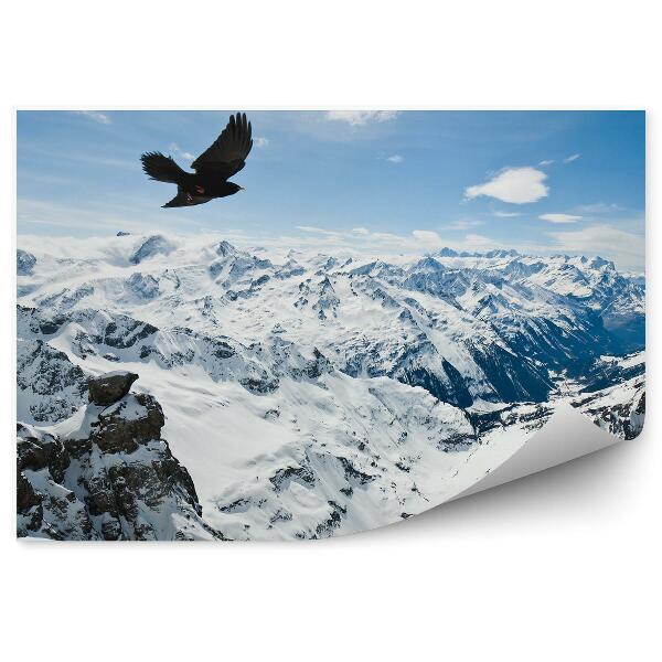 Papier peint Urnes Montagnes Hiver Neige Oiseau Ciel Nuages